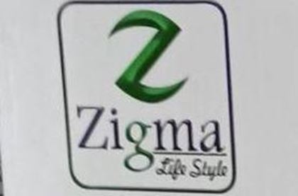تصویر تولید کننده Zigma